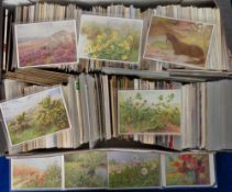 Postcards, Mixed Subjects approx. 2400 mixed age cards to include Thanksgiving, Fiddlers Green