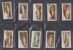 Trade cards, British Automatic Co Weight, Freshwater Fish (set 24 cards) (mostly with weight printed
