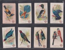 Trade cards, USA, Church & Dwight, Beautiful Birds, New Series, 'M' size (47/60, missing nos 4, 8,
