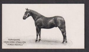 Cigarette card, Taddy, Famous Horses & Cattle, type card, no 10, Yorkshire Coaching Stallion 'King's