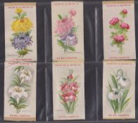 Tobacco silks, ATC, Flowers (Set 1, 'Old Mill Cigarettes'), (13/50) (gd)