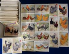 Postcards, Supplement Cards etc. Birds, approx. 350 cards to include poultry, pigeons, British