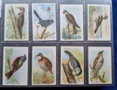 Cigarette / trade cards, 16 sets all Bird related; Church & Dwight Useful Birds 6th, Ogden's (5,