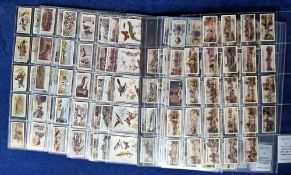 Cigarette & trade cards, mixture of part sets in large plastic sleeves; Lambert & Butler Thames from