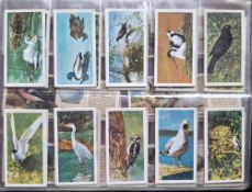 Trade cards, 28 sets, Bird related in 2 modern albums; Tetley Tea British Birds, Priory Tea I Spy