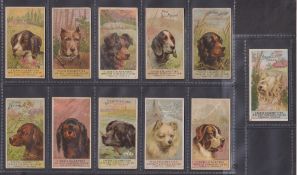 Cigarette cards, USA, H Ellis & Co, Breeds of Dogs, (inscribed 'Tiger Cigarettes mixed captions') 11