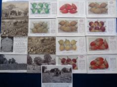 Ephemera, Suttons seeds, a collection of 17 vegetable and grass seed postcards and advertising cards