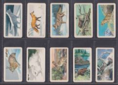 Trade cards, Brooke Bond Canada, 2 sets Animals of North America, 'Roland' and 'Rolland' versions (