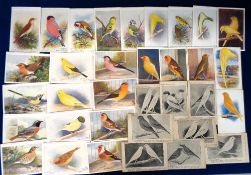Trade cards, Birds, selection of 34 postcard size cards, Canary & Cage Bird Life Aid to Amateurs -