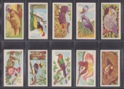 Trade cards, Galbraith's Stores Strange Creatures 47/50 (missing 7 41 44) (number 50 stain on