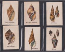 Tobacco silks, African Tobacco Manufacturers, Types of Sea Shells, 'L' size, 19/25 missing nos 9,