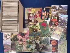 Postcards, Flowers, 500+ cards depicting flowers, RPs and artist drawn, inc, gardens, specimens,