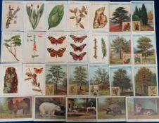 Trade cards, Holland, Van Houten, selection of 56 large format cards,, Trees, ref. VH2-9 (30