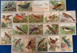 Trade cards, Holland, Van Houten, Van Houten's Aviary, English edition, ref. VH2-1, 43 different