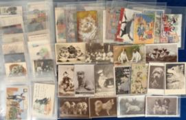 Postcards, Animals, approx. 590 cards to include dogs, cats, birds, horses, butterflies, comic,