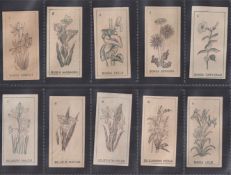 Cigarette cards, Java, Liem Seeng Tee, Flowers, paper thin cards (gen. gd) (18)
