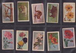 Cigarette cards, Japan, Toa Tobacco Co., blue Spear brand back, General Interest (T505-350) with