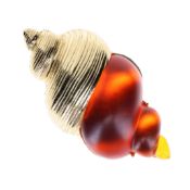 Christian Dior by Robert Goosens 1987 Shell Brooch, 82g