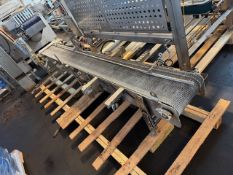 Stainless steel conveyor