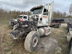 2015 PETERBILT 389