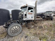2015 PETERBILT 389
