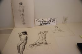 CAROLINE WILLIAMS ORIGINAL SKETCHES