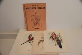 JOHN GOULD PRINTS
