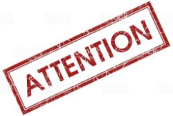 RING #1. CUMBERLAND VALLEY CONSIGNMENT AUCTION