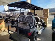2025 SD LANCH GC100 Golf Cart 'NEW'