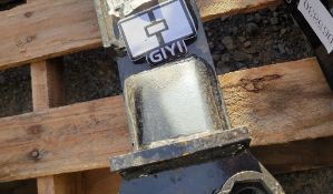 Giyi Tooth 'NEW'