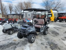 2025 SD LANCH GC80 Golf Cart 'NEW'