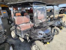 2025 SD Lanch GC80 Golf Cart 'NEW'