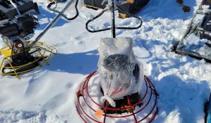 Future 90B Power Trowell 'NEW'