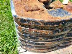 Case IH Suitcase Weights