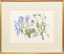 * ELSPETH HARRIGAN (SCOTTISH 1938 - 1999), HYACINTHS AND IRIS