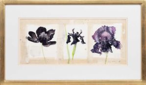 * JENNY MATTHEWS RSW (SCOTTISH b. 1964), THREE BLACK FLOWERS