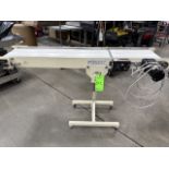 Plastic Process Equipment Portable Belt Conveyor