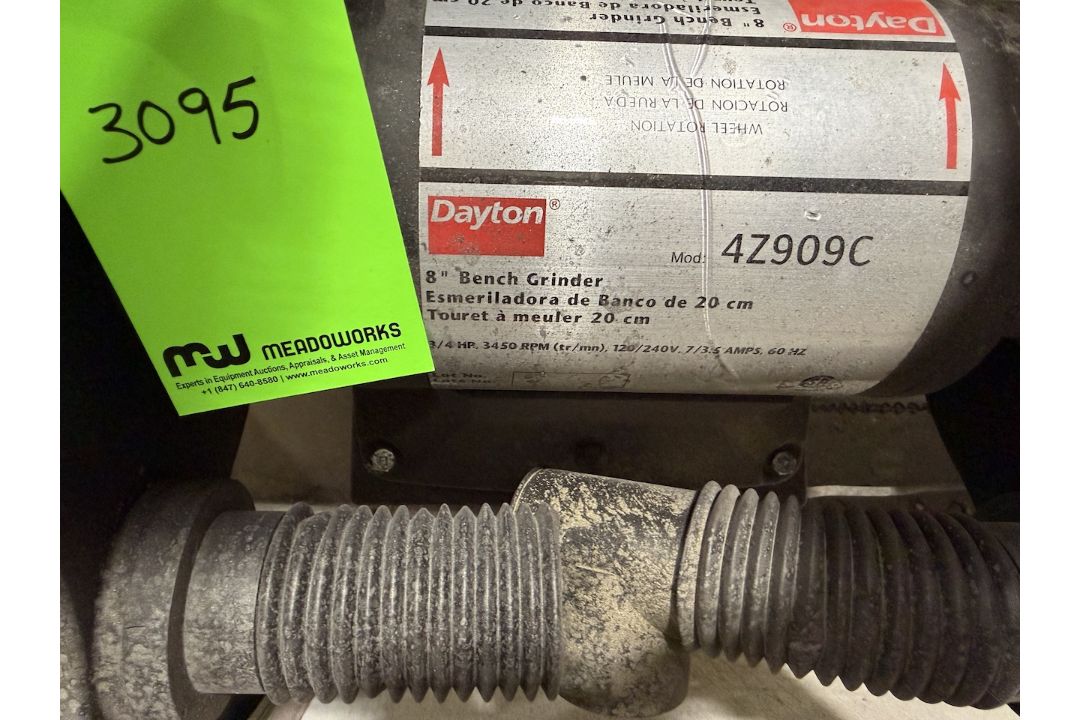 Dayton 8 in Bench Grinder - Image 3 of 3