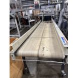 EMI Flat Belt Conveyor