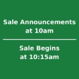 Sale Announcements at 10am - Sale BEGINS at 10:15am Central (8:15am PT)