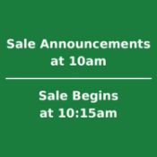 Sale Announcements at 10am - Sale BEGINS at 10:15am Central (8:15am PT)