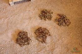 (4) 5/16" 20' G70 CHAINS (UNUSED)