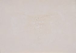 ALBERTO BURRI, Cretto bianco
