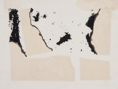 ALBERTO BURRI, Combustione
