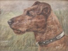 E.A. Head of an Irish Terrier, signed with monogram, with pencil inscription verso 'The Irish