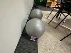 EXERCISE BALLS