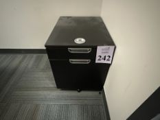 2-DOOR STORAGE CABINET