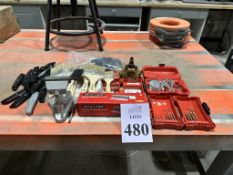 LOT CONSISTING OF PAINT BRUSHES, DRILL BITS,