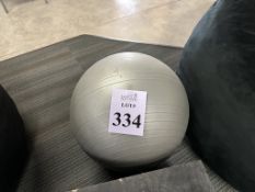 EXERCISE BALL
