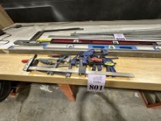 LOT CONSISTING OF: VARIOUS CLAMPS